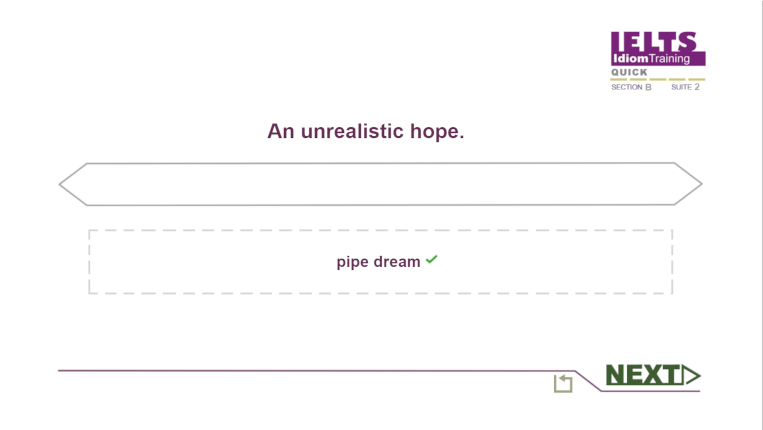 Idiom training example with correct answer.